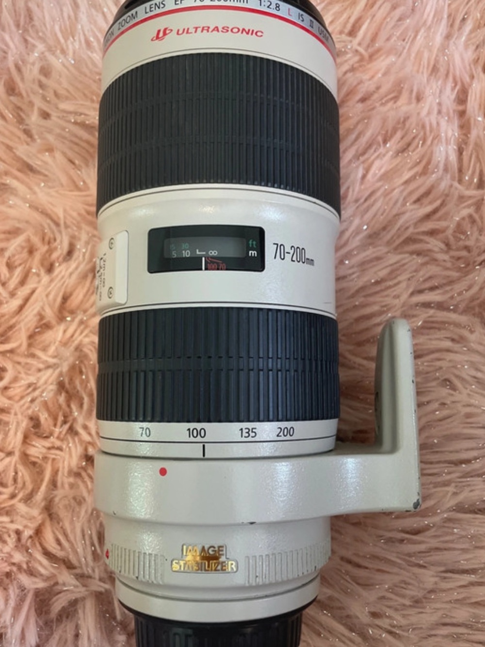 Canon 70-200mm Telephoto Zoom Lens in White with Black Grip